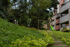 proyecto-de-vivienda-en-la-estrella-imagenes-bosques-de-sauces-parque