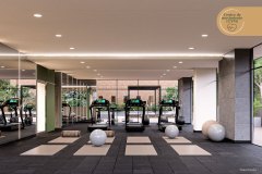GYM-Terranhelo-senior-club