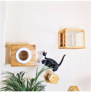 Ideas de espacios para gatos en apartamentos