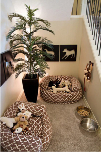 Ideas de espacios para perros en apartamentos
