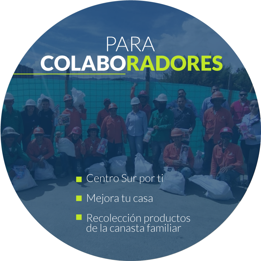 Centro Sur Solidaria - Colaboradores