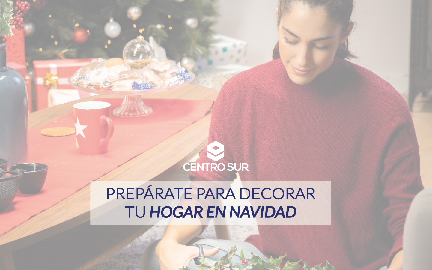 Navidad en tu hogar