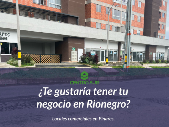 localescomercialescentrosur