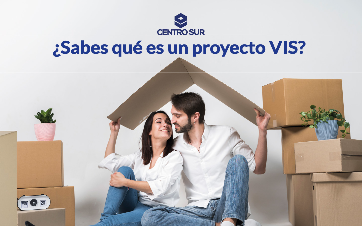 proyectos VIS