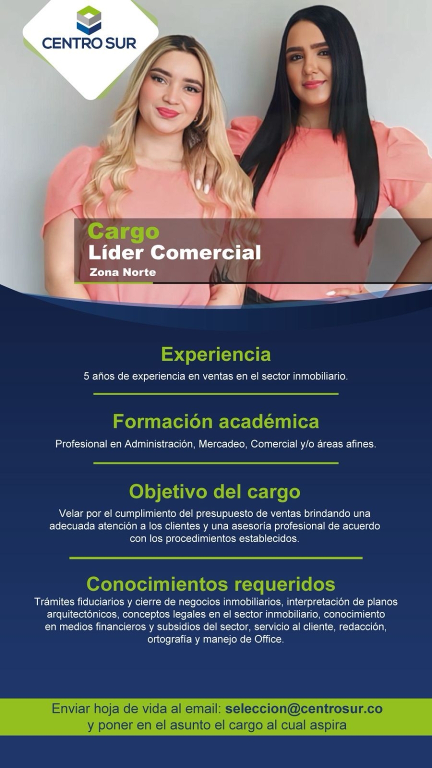 cargo líder comercial