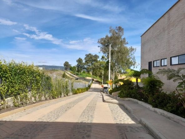 893-4162